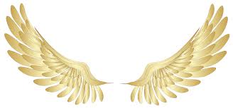 wings1